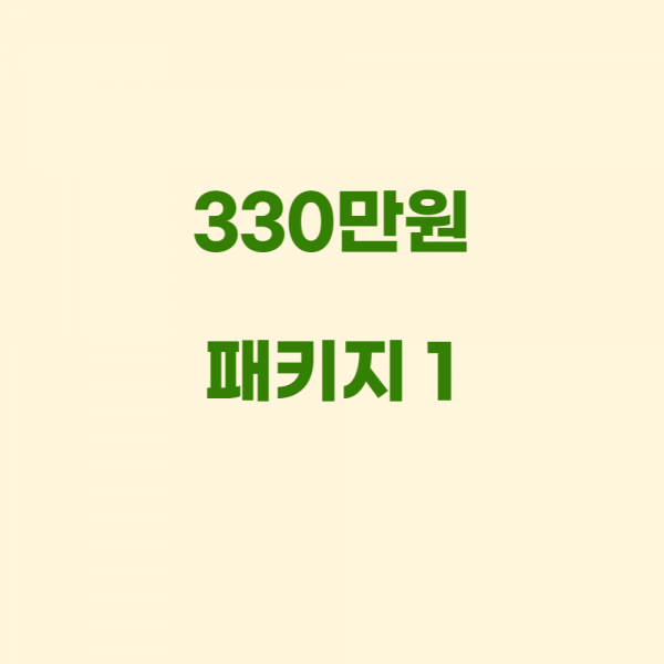 330만원 패키지1