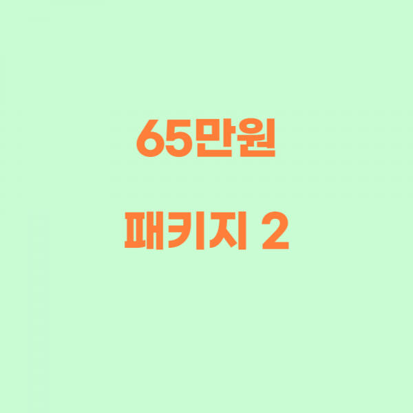 65 패키지2