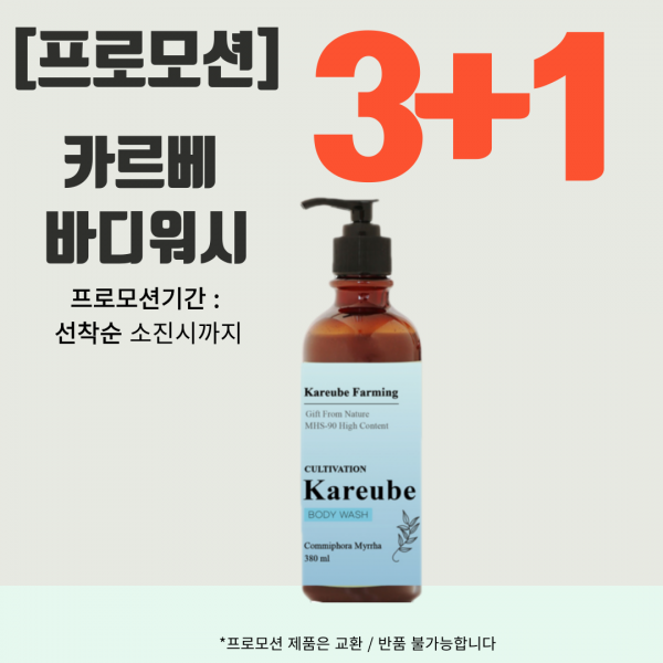 프로모션 바디워시 3+1