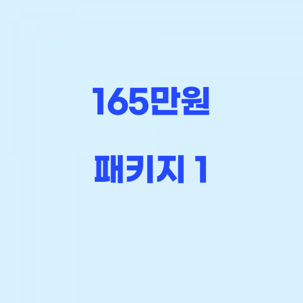 165 패키지1 - 1,651,000원