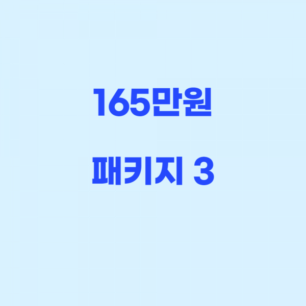 165패키지 3 - 1651,000원