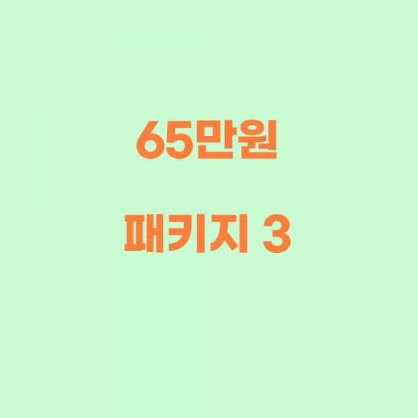 65 패키지3 - 654,000원