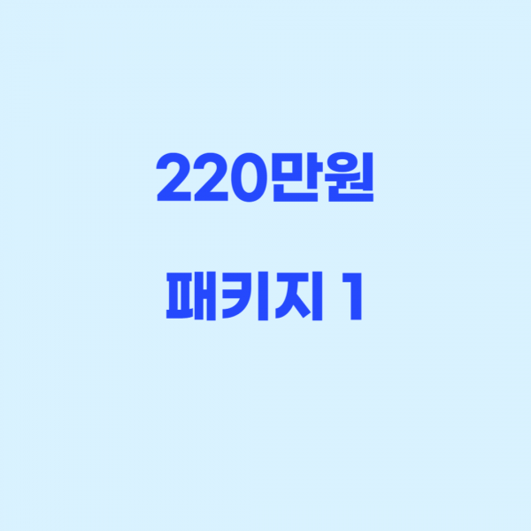 220만원 패키지1