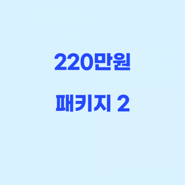 220만원 패키지2- 2,202,000원
