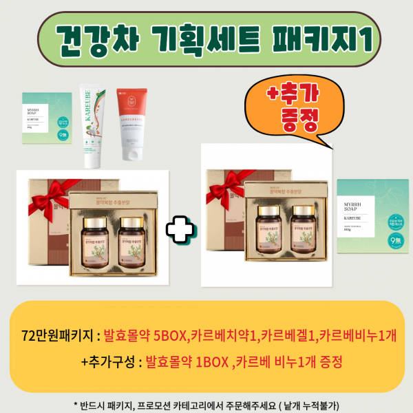 [건강 기획세트] 72만원 패키지1