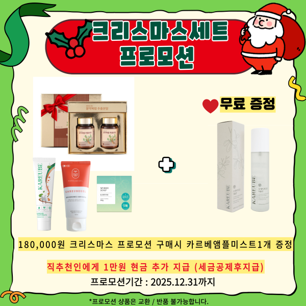 크리스마스세트  프로모션  