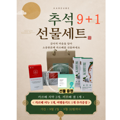 추석 선물세트 9+1 (선물 세트 포장)